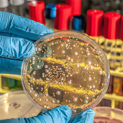 Salud y control de enfermedades