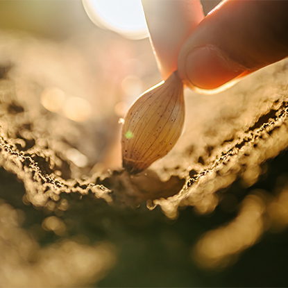 Agricultura y silvicultura